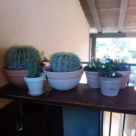Dinanzi Al Mare Apartmán